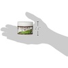 image:imageFlukers Calcium to Phosphorus Reptile Dietary Supplement 2 oz2Ounce